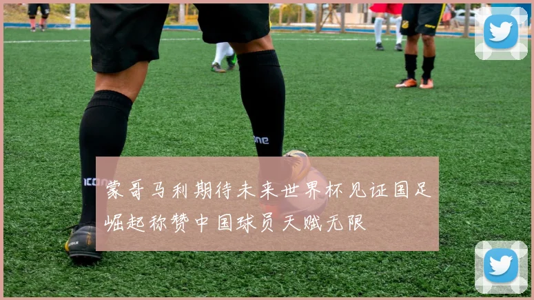 蒙哥马利期待未来世界杯见证国足崛起称赞中国球员天赋无限